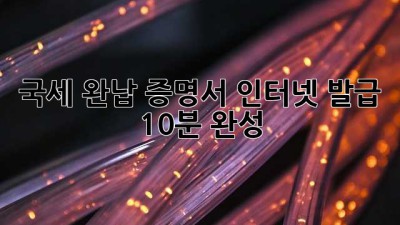 국세 완납 증명서 인터넷 발급 : 10분 완성!