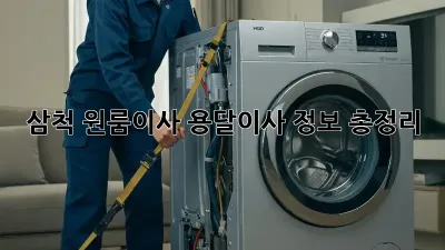삼척 원룸이사, 용달이사 정보 총정리!