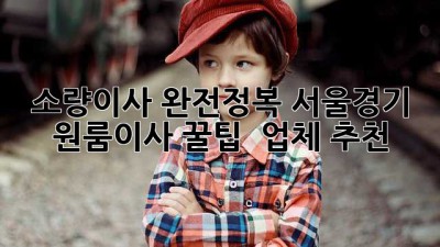 소량이사 완전정복🚀 서울/경기 원룸이사 꿀팁 & 업체 추천